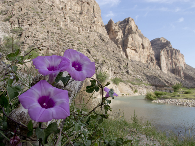boquillas canyon canoe
